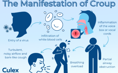 Your Child Didn’t Catch the Croup, They Caught the Croup Symptoms
